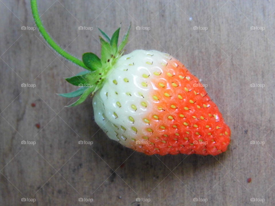strawberry in the garden