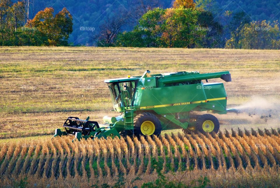 agriculture