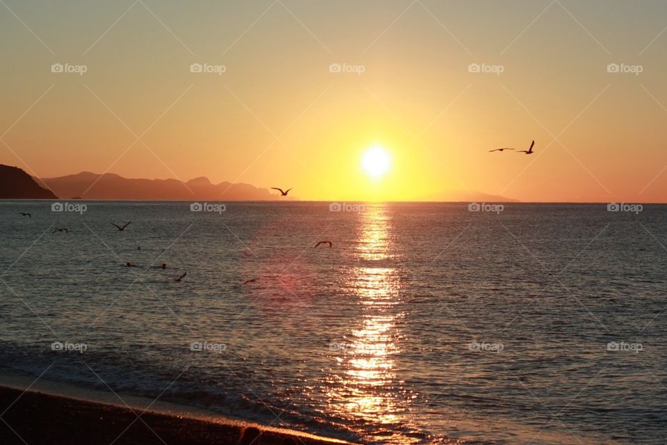 Sunset, Water, Sea, Dawn, Sun