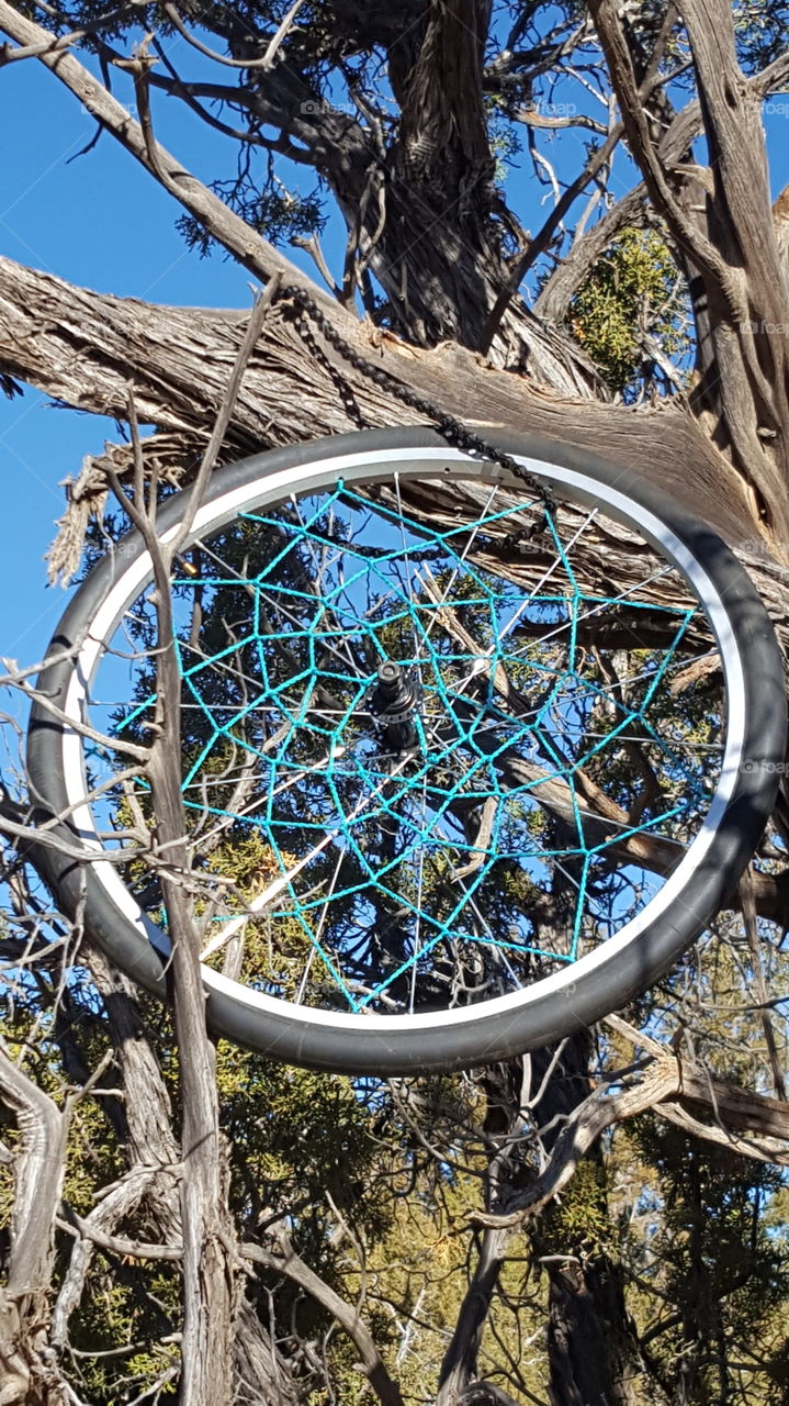 bicycle wheel dream catcher