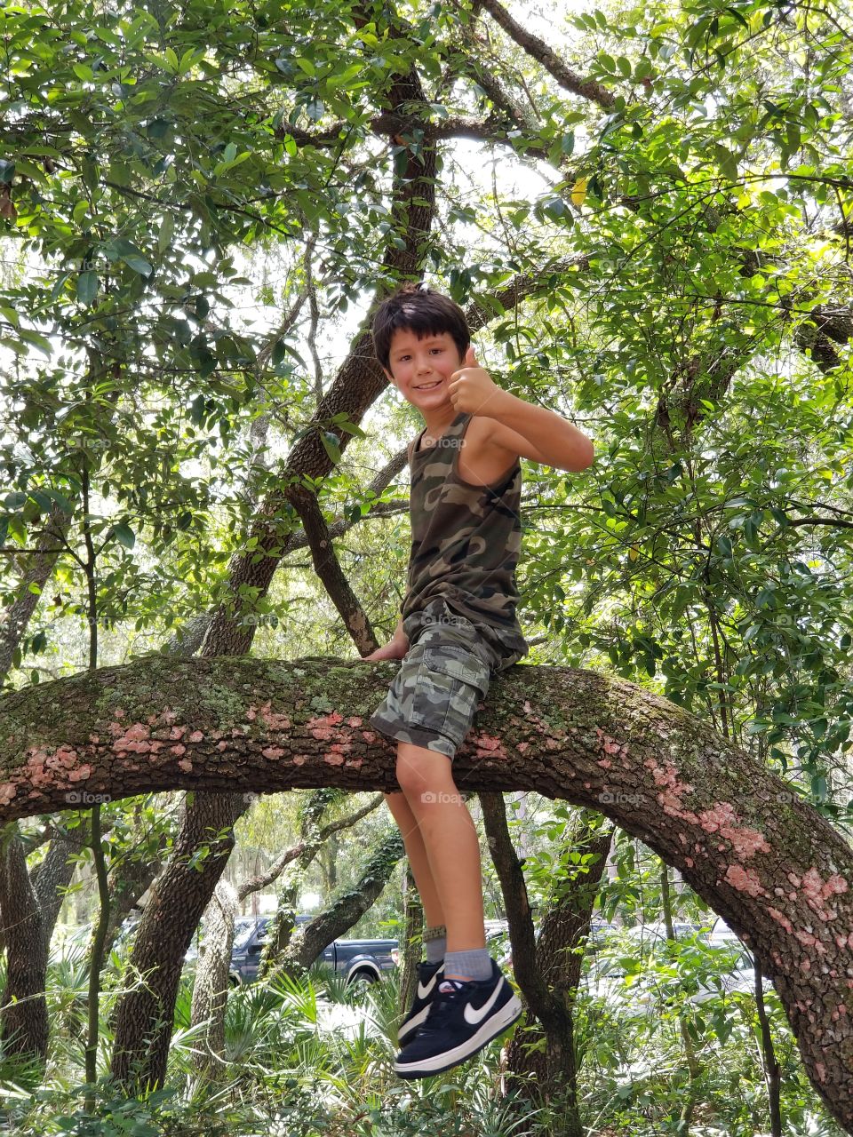 summer fun tree climbing