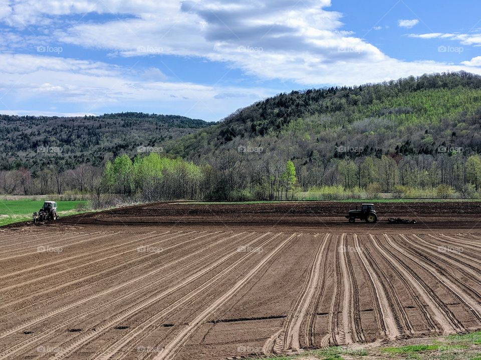 corn planted next field being harrowed