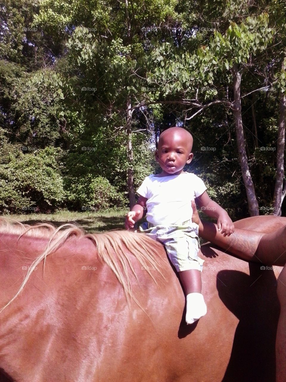 Zion's First Horseback Ride