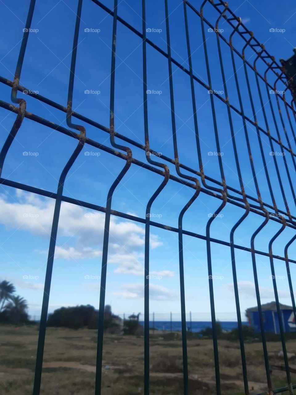 Sky beauty in a blue tint