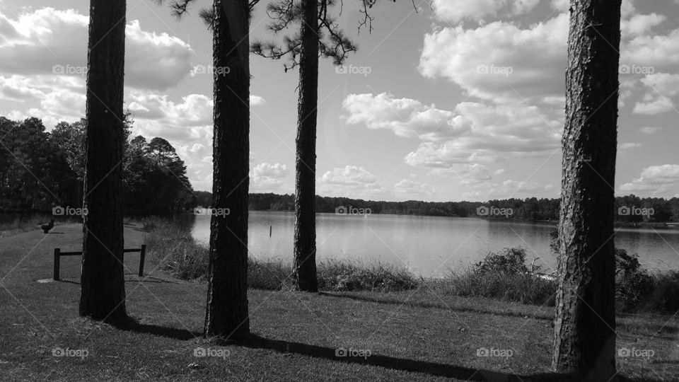 lake grayscale