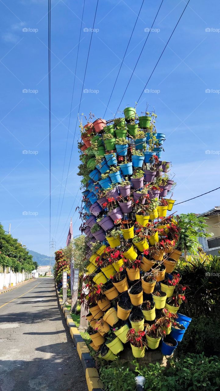 pot bunga warna warni