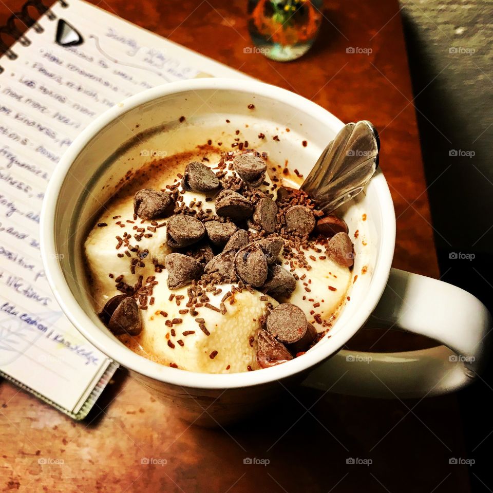Homemade hot chocolate and a journal  