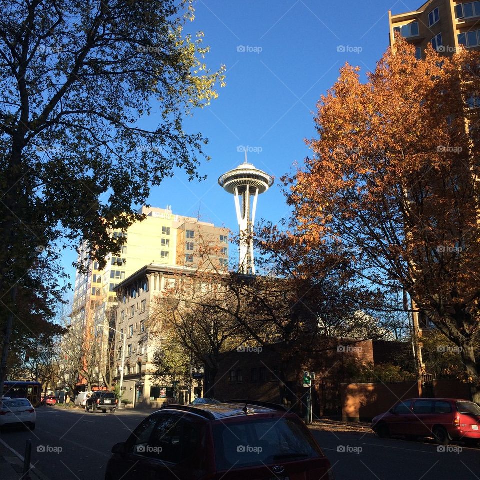 Space Needle in the Fall
