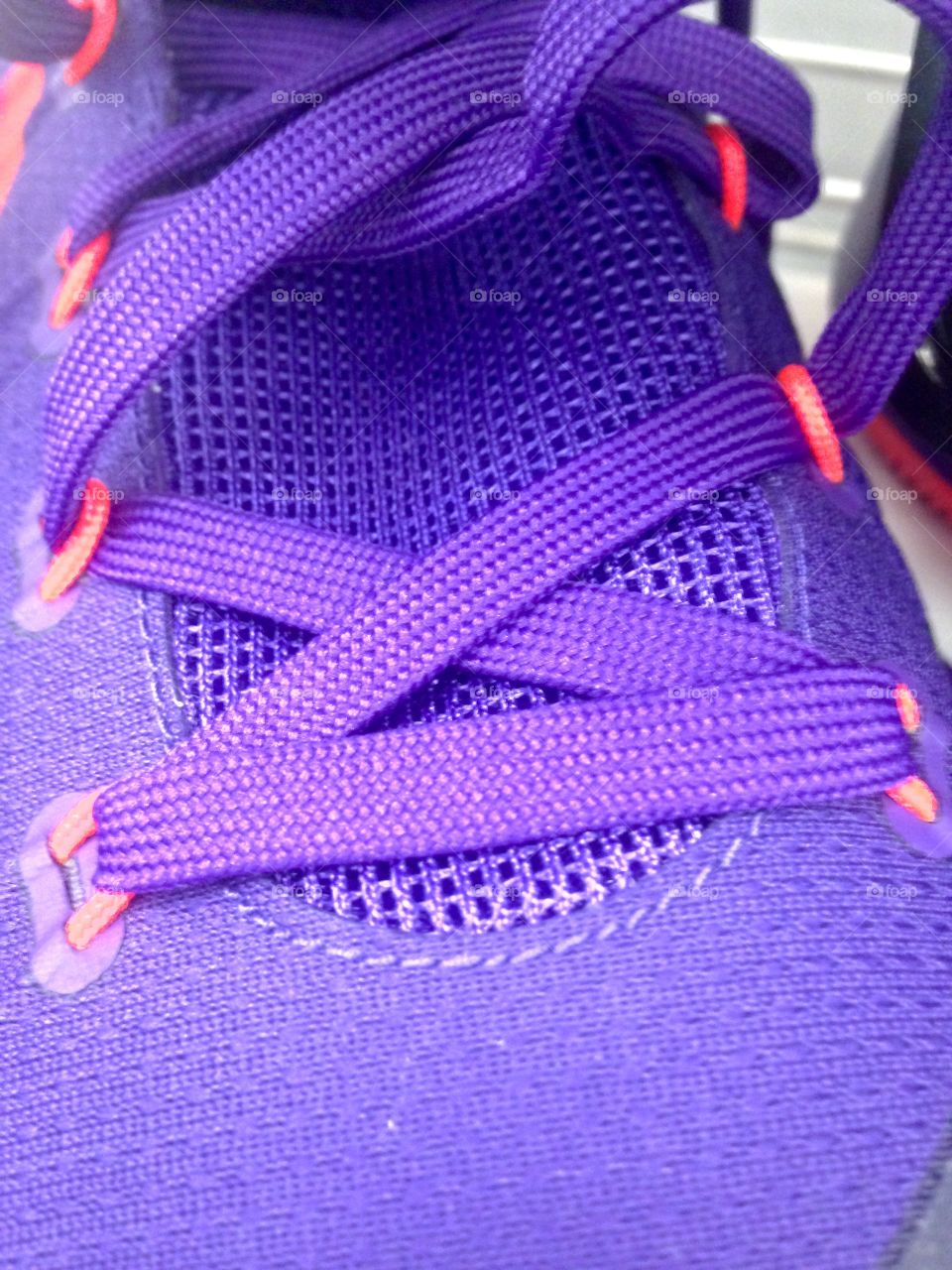 Purple Basketball Shoes

Published by:
HappyBrownMonkey 