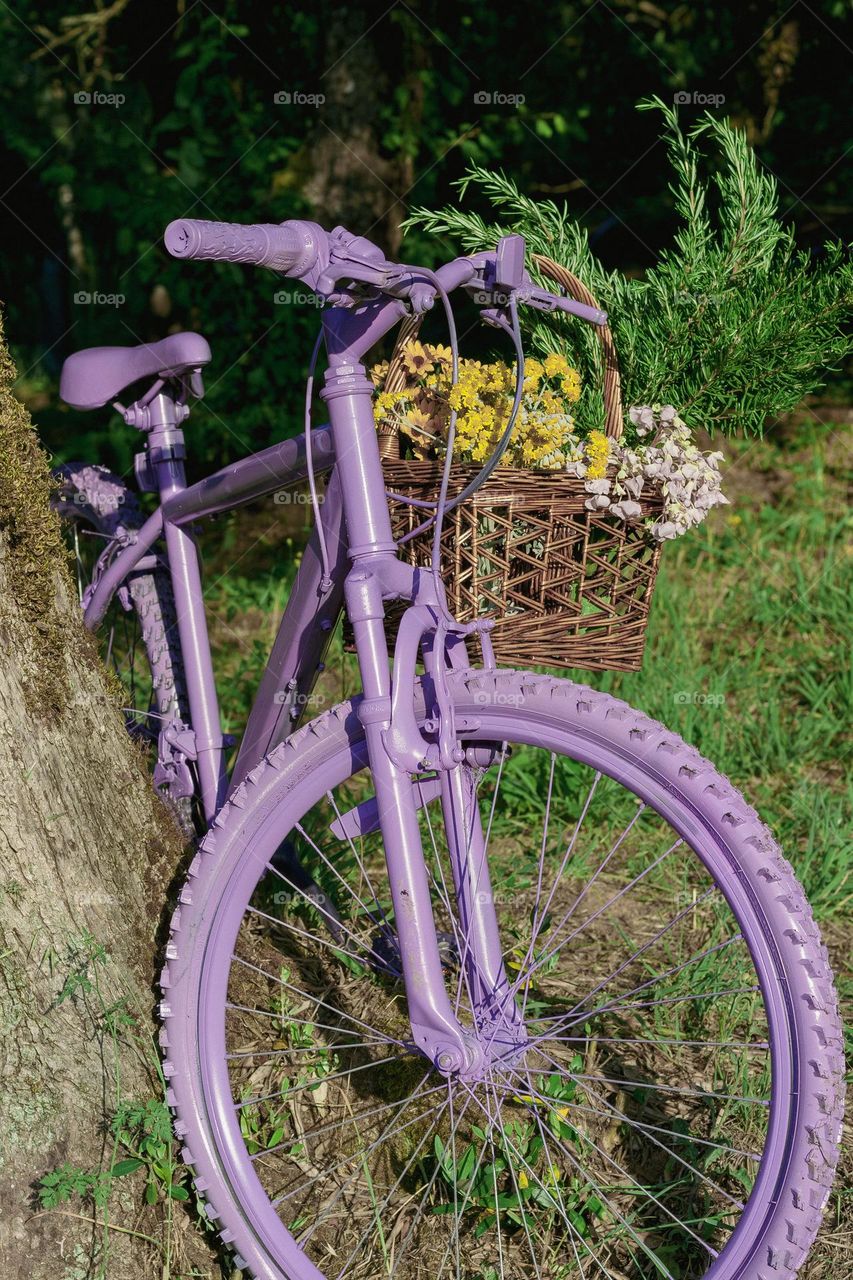 A purple bicycle with a basket of flowers on the handle bars, leaning up against an olive tree.