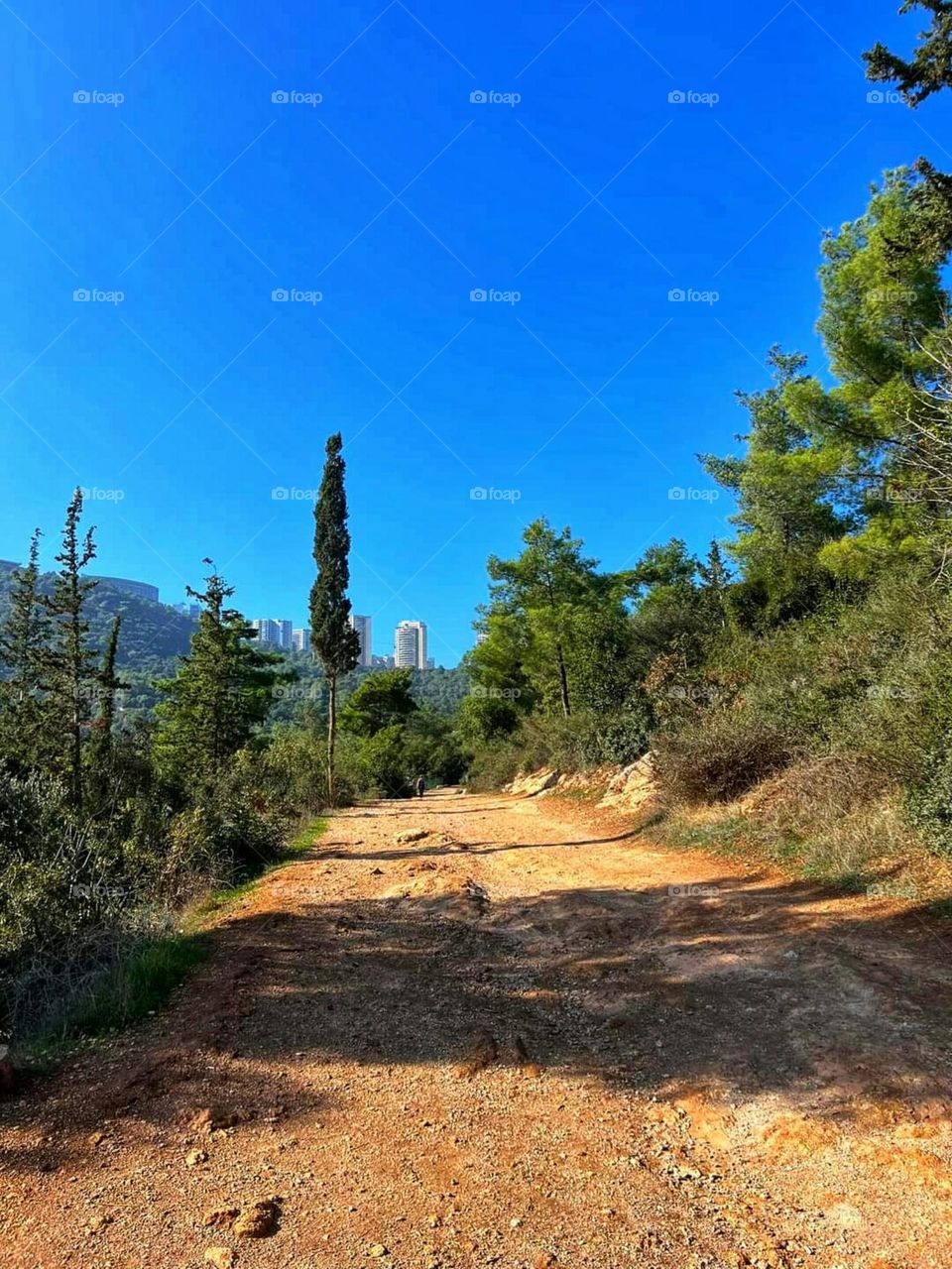 Nature in Haifa