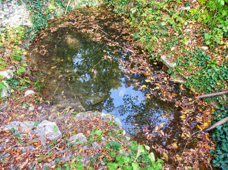 A spring in the forest. Reflection in the water of the sky, trees and other plants. Autumn leaves.