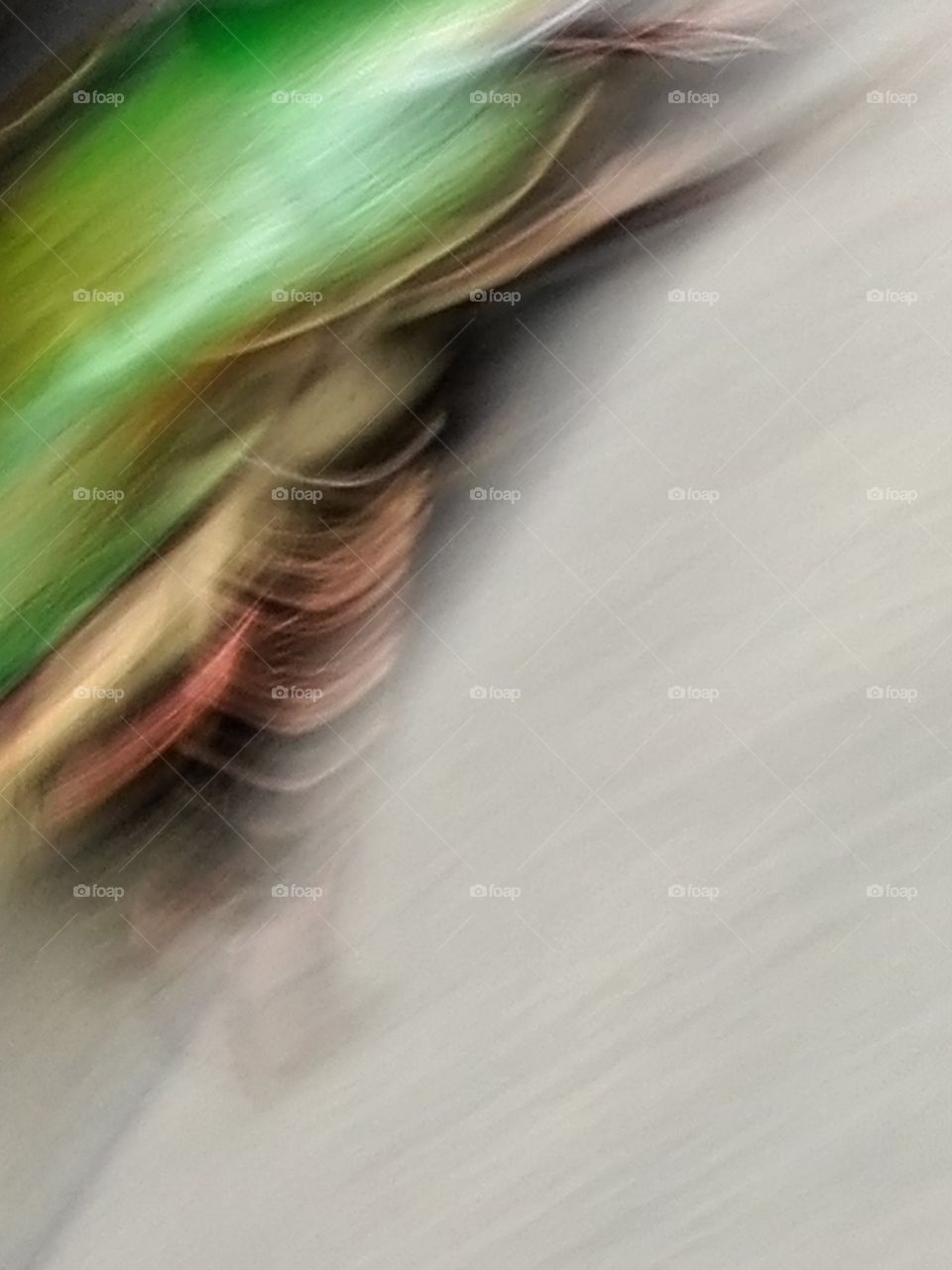 Movement (gold beetle Jpn)