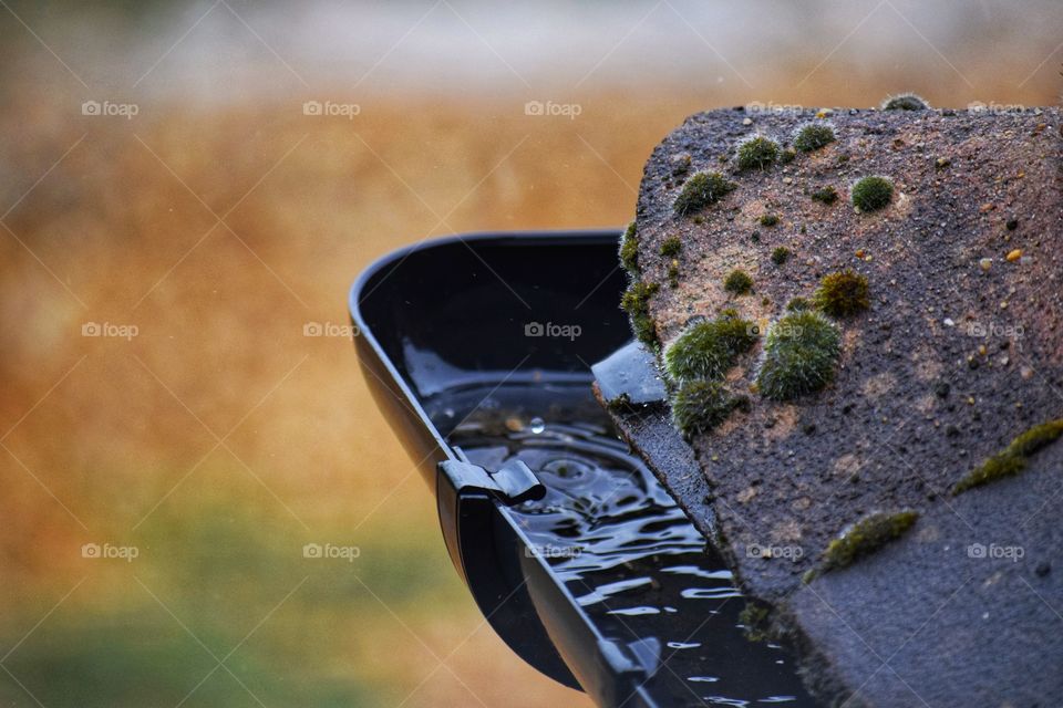 Gutter in the rain