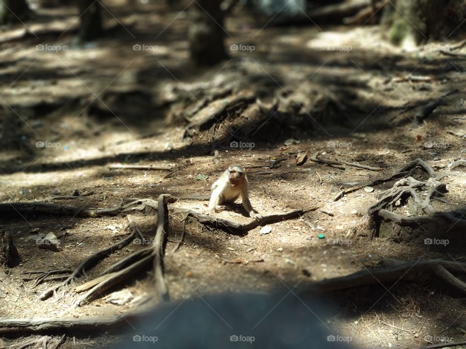 Don't disturb me....