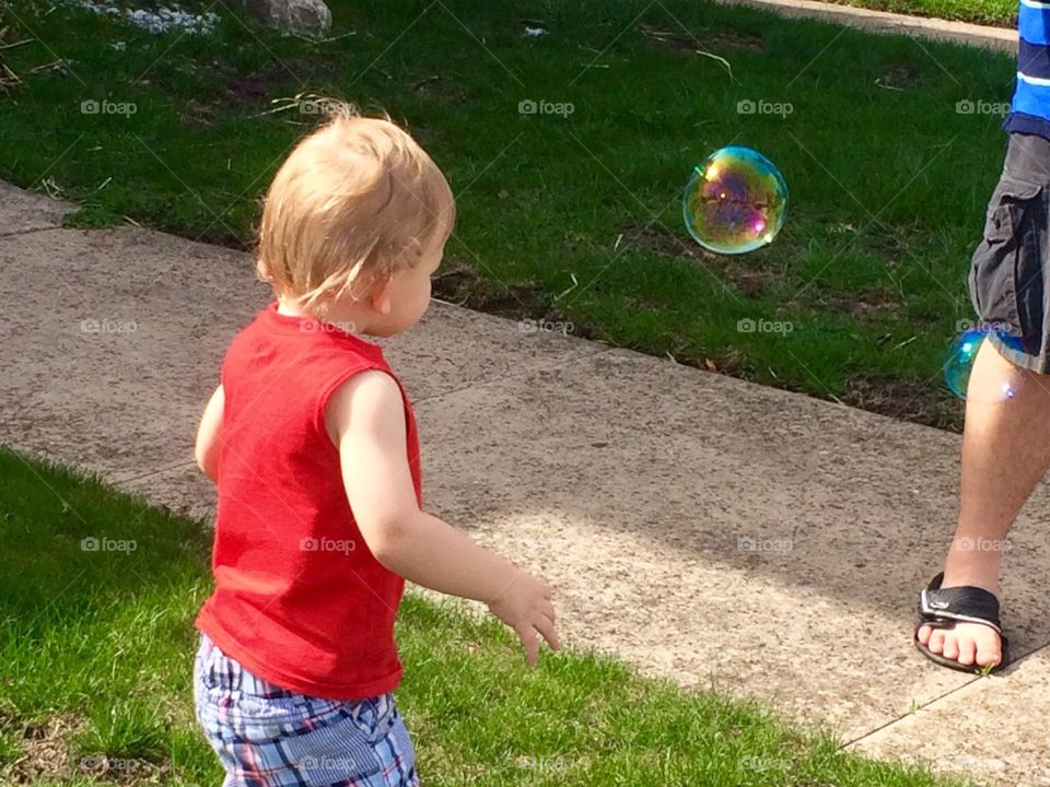Chasing a bubble 