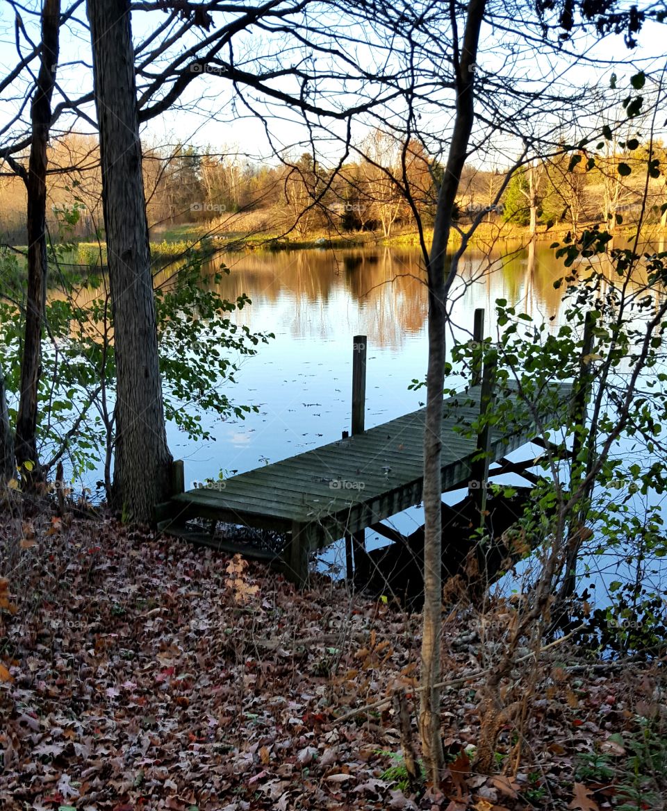 The old dock