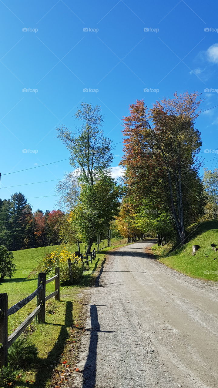 Charming path in a countryside of Vermont, USA.