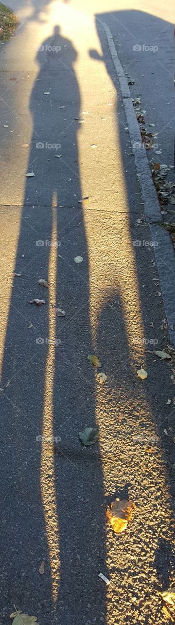 giant shadow