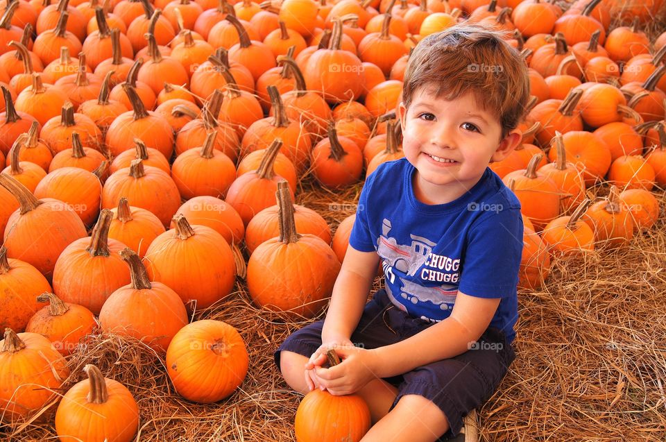 Pumpkin fest