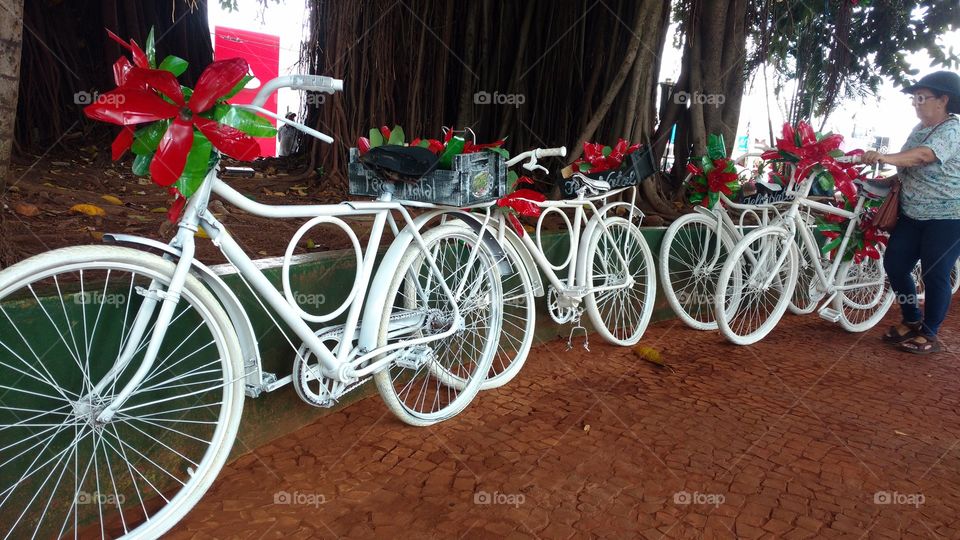 Dezenas ou centenas de bicicletas velhas recicladas, com tinta branca, enfeitando o centro da cidade e a praça central, no comemorativo fim de ano; Natal e Ano Novo.