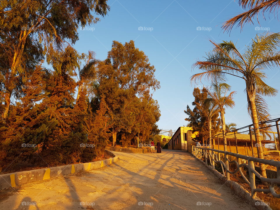 autumn golden hour view