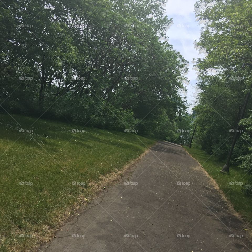 Nature bike trails 