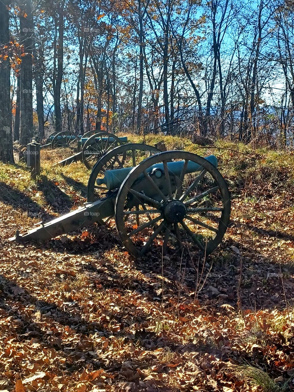 Winter Hike In The South
