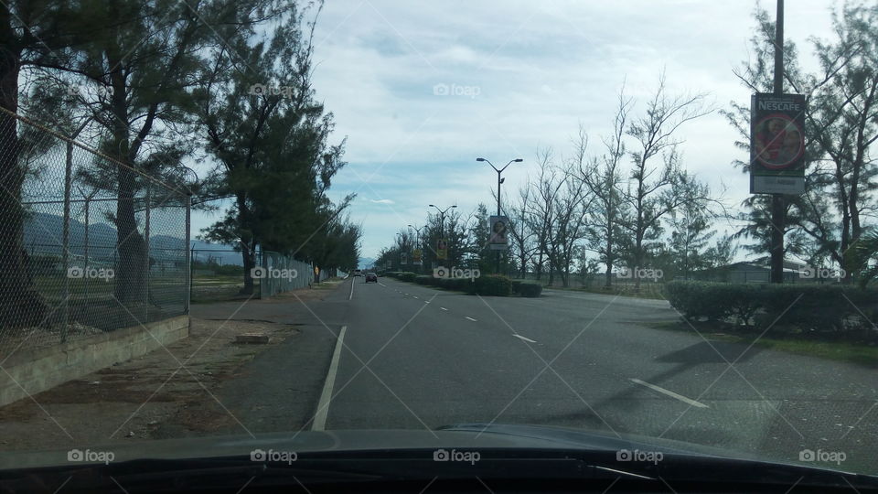 Road, Street, No Person, Vehicle, Tree