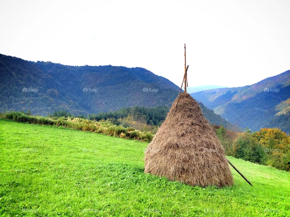 mountain