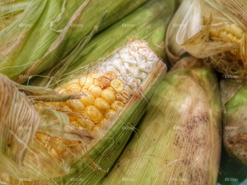 Corns sheath. food
