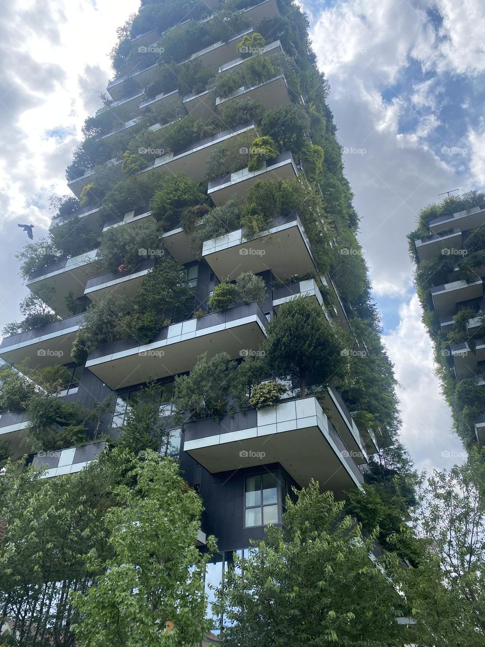 nature in the street