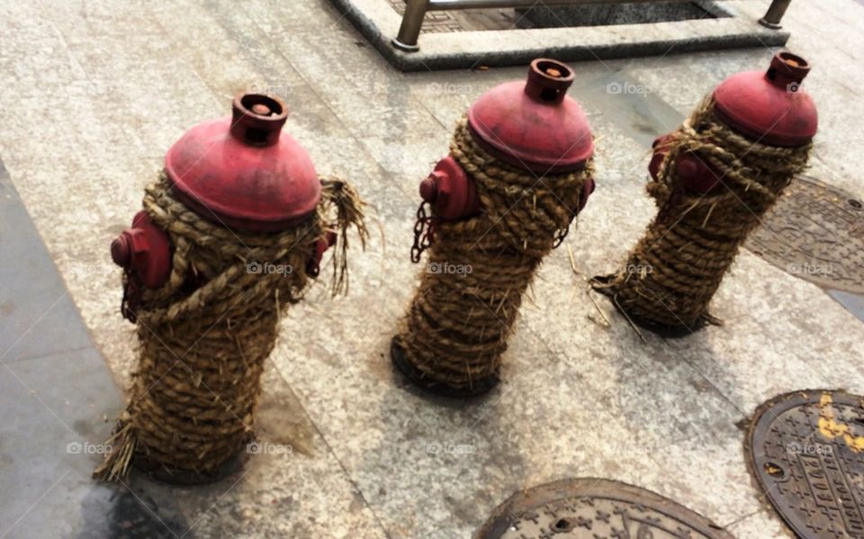Fire hydrants covered in ropes