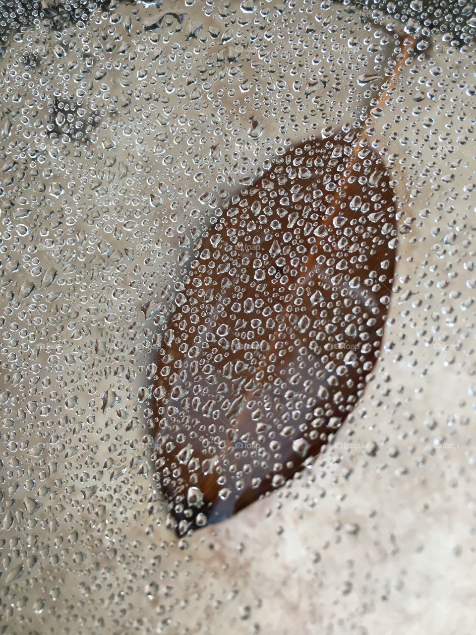 Rain drops on spiderweb 