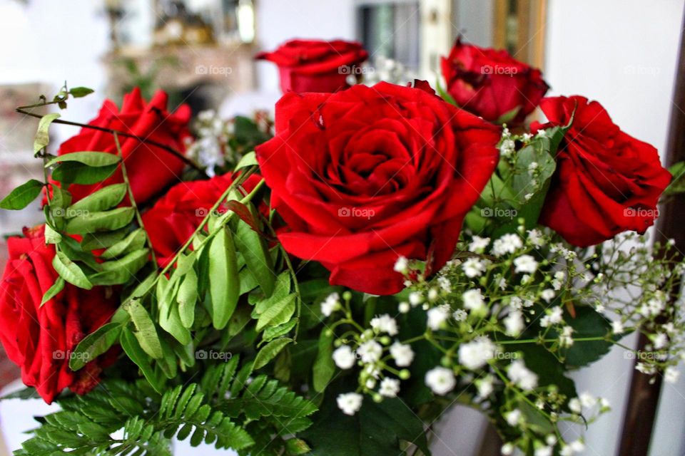 Red roses and green leafs 