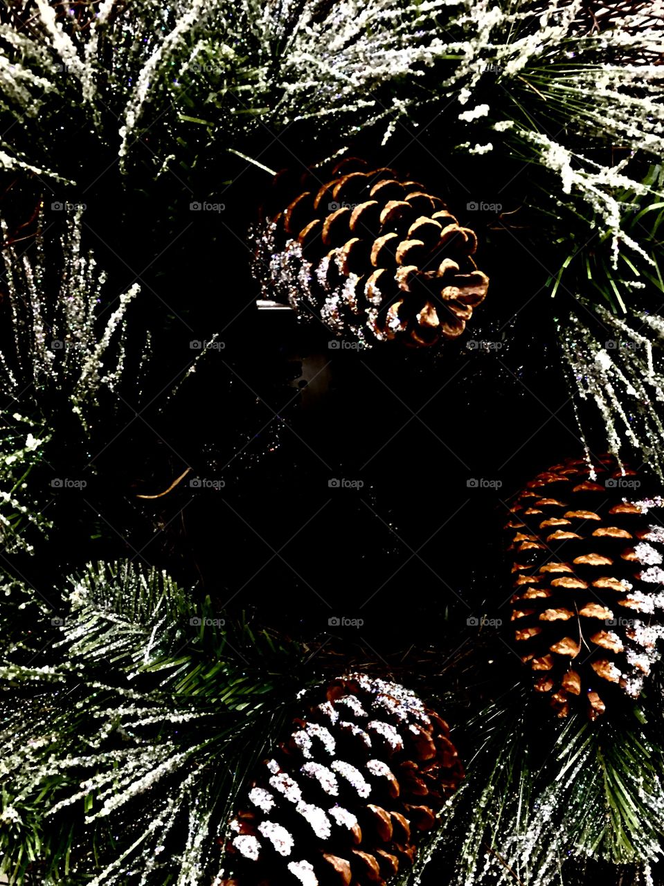 Snow, dusting, pine cones, pine tree, pine cone, evergreen, snow covered, decoration, wreath, lightly covered, winter, season, seasons, seasonal, no person, evergreen, needle, signs of winter