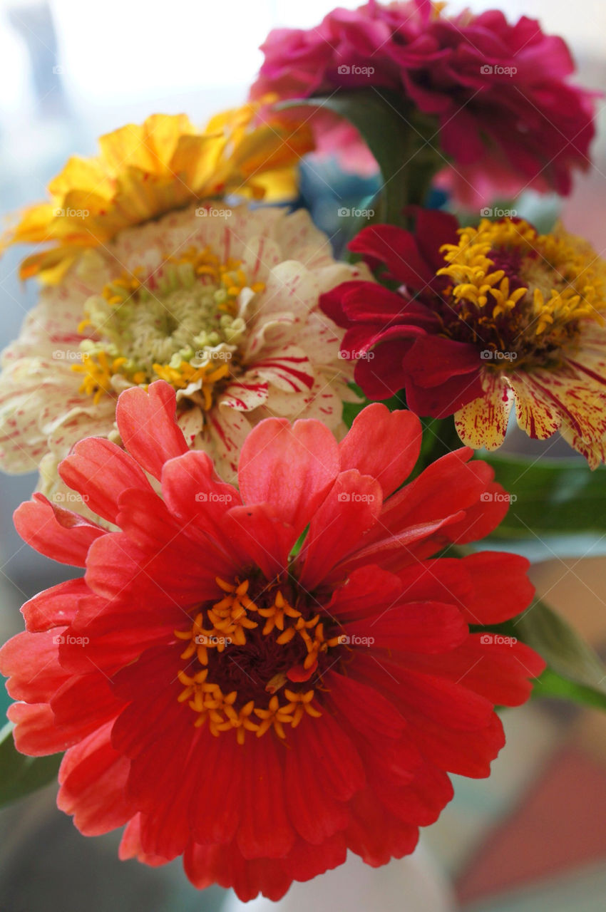 flowers yellow red bouquet by sheltielover