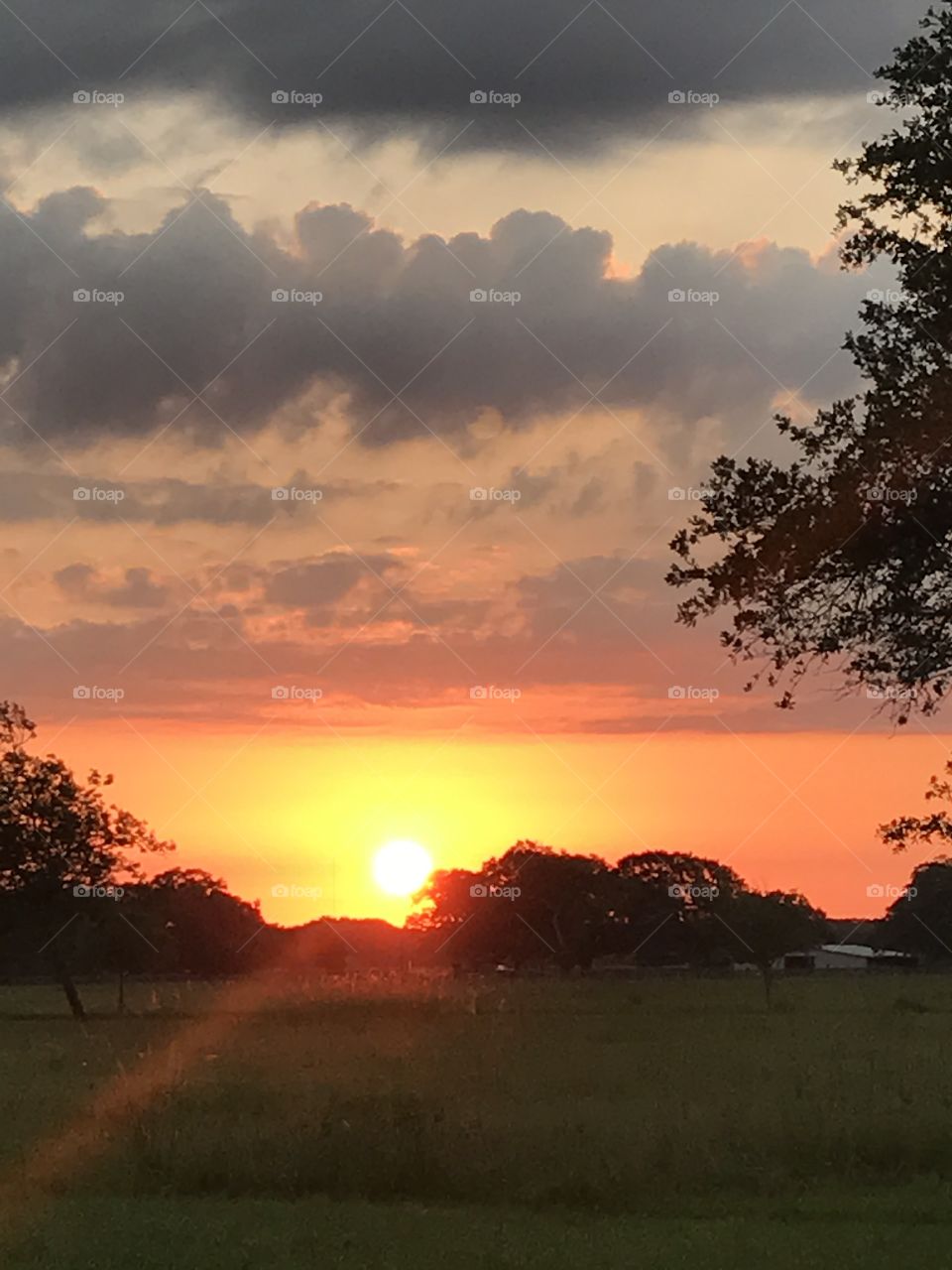Texas sunrise