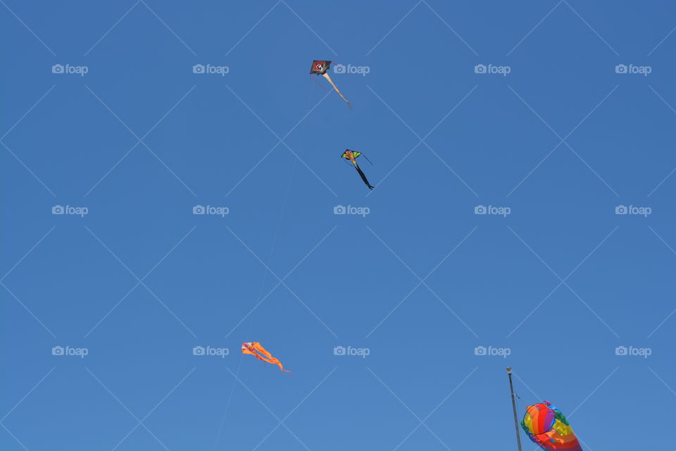 Kites in blue sky over beach in Galveston Texas 