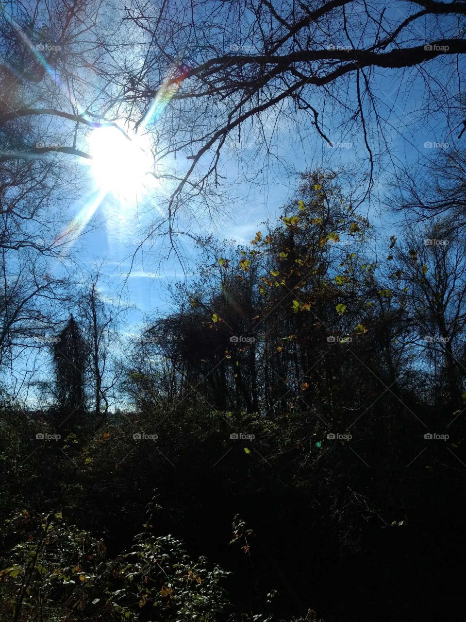 Let your light shine on me