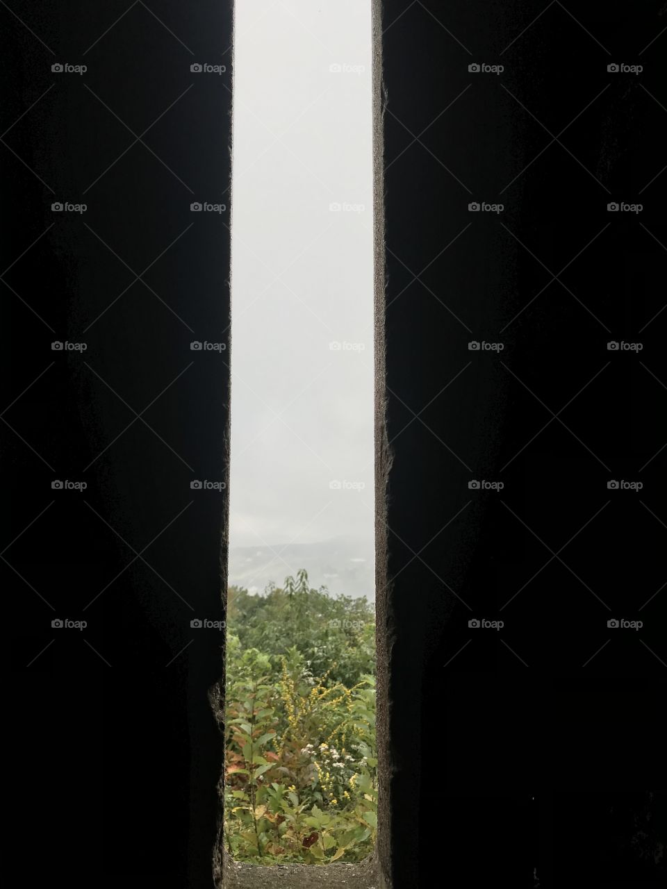 Light of hope is everywhere 