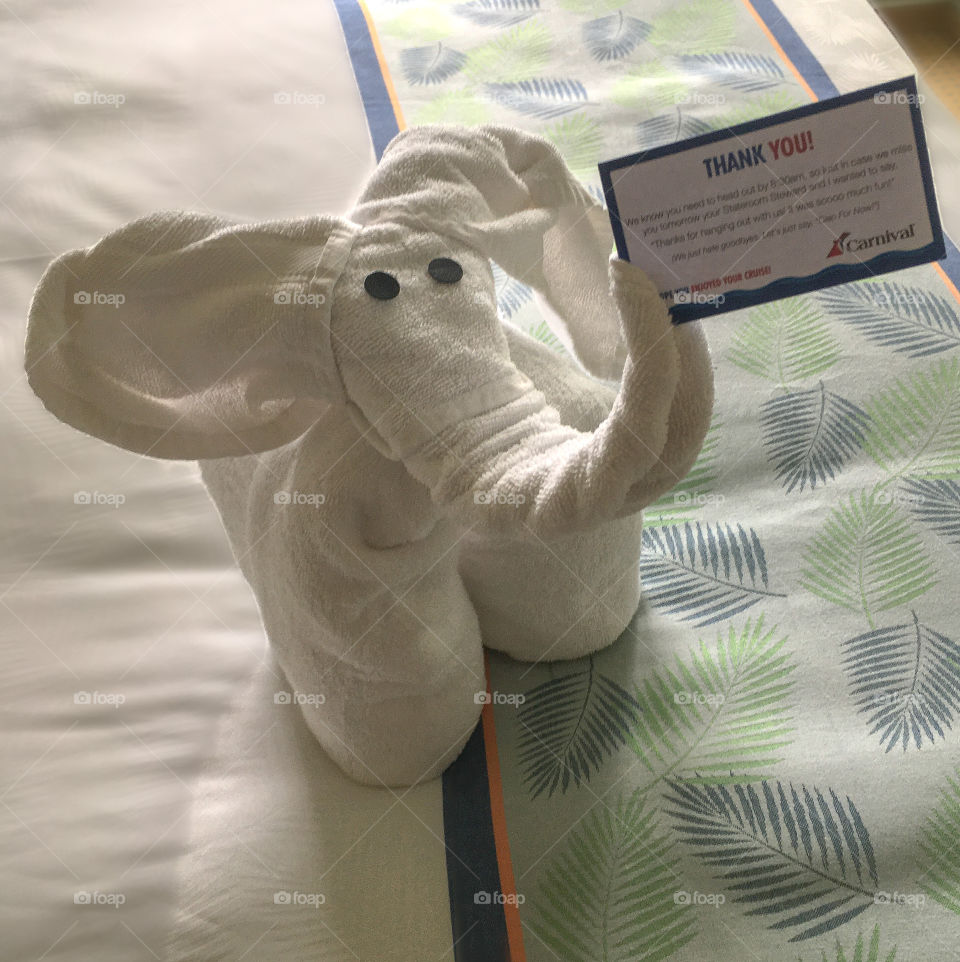 A simple goodbye - this towel elephant was waiting for us our last night on board with a note of thanks and best wishes. 