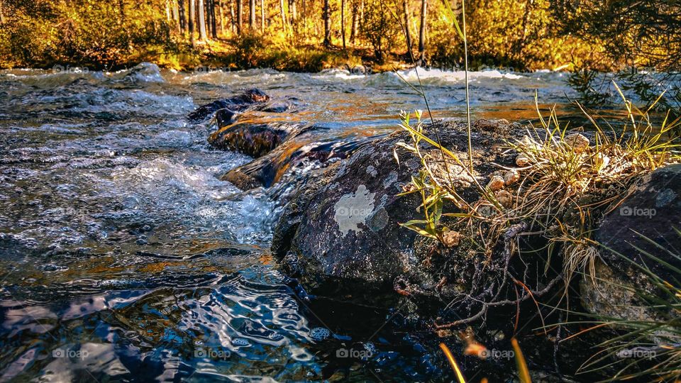 Close up shot of water rushing over rocky river.