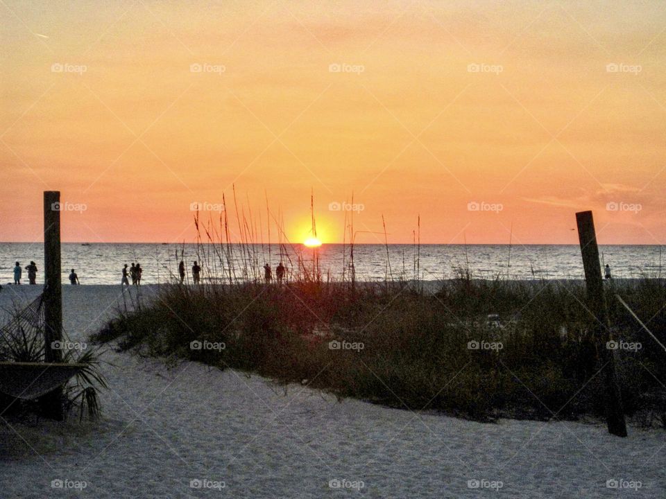 Sunset on the beach through the grasses.