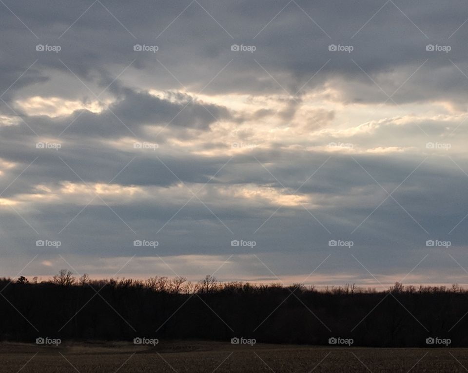 Wisconsin field during sunset