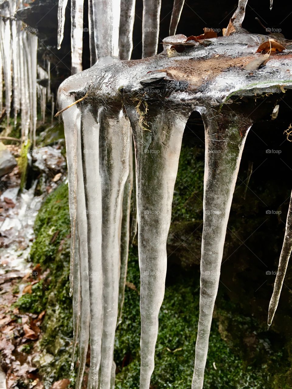 Icicles clinging to the ledge