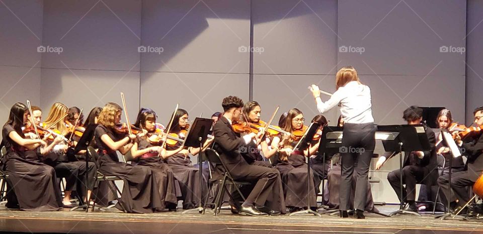 orchestra concert