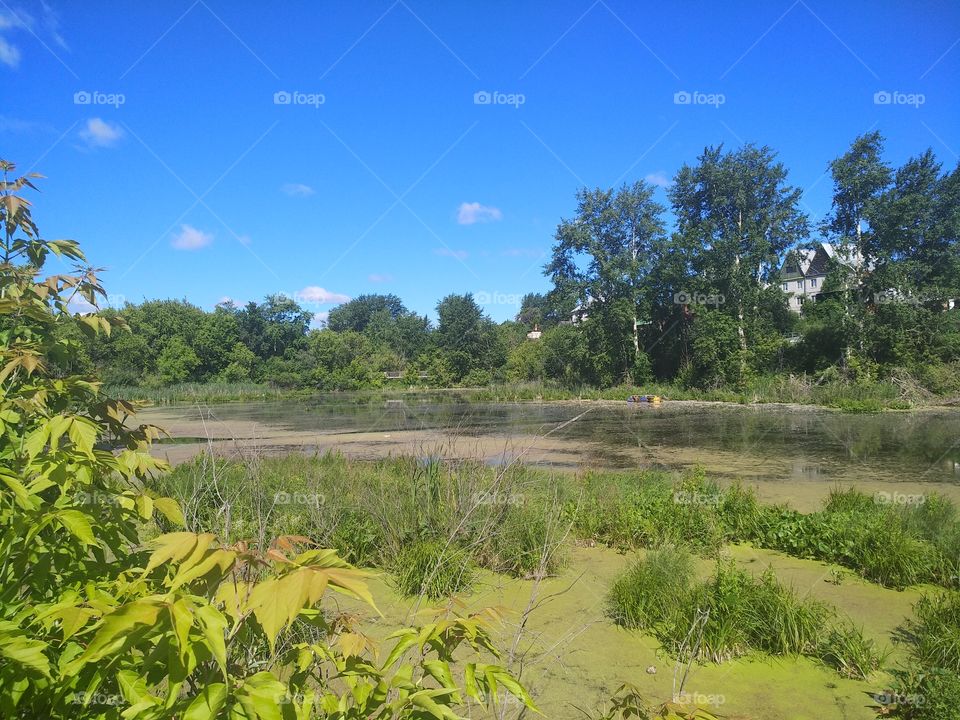 The landscape of the lake