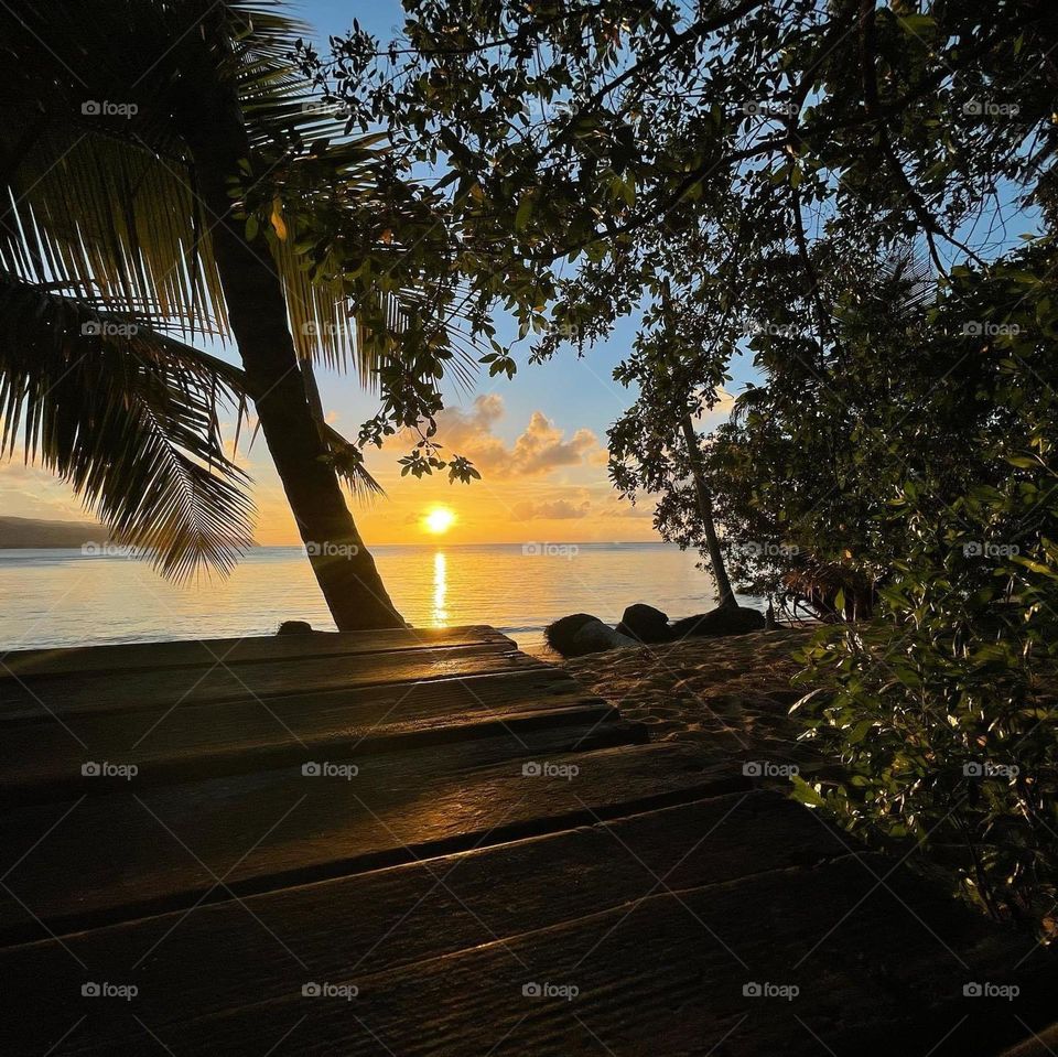 This is Paradise, Las terrenas. 