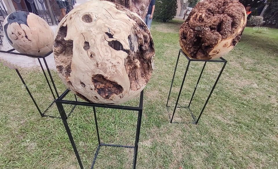 círculos en madera # circles in wood